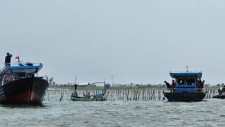  Itu Lahan Sawah yang Terabrasi