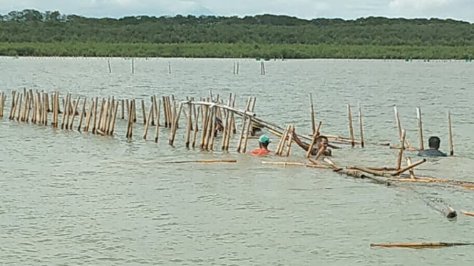 Nelayan di Kabupaten Serang Bongkar Patok Bambu 