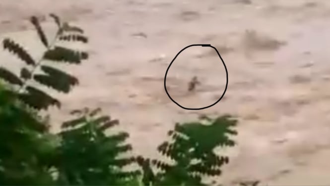 Tangkapan kamera dari video warga yang merekam detik-detik Abdul hilang terseret banjir di Sungai Cikandang Pakenjeng Garut