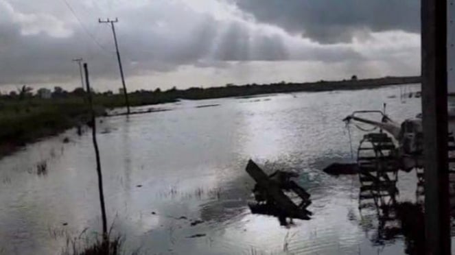 Ilustrasi lahan pertanian yang terdampak bencana banjir di Kalsel - Foto Dok Istimewa 