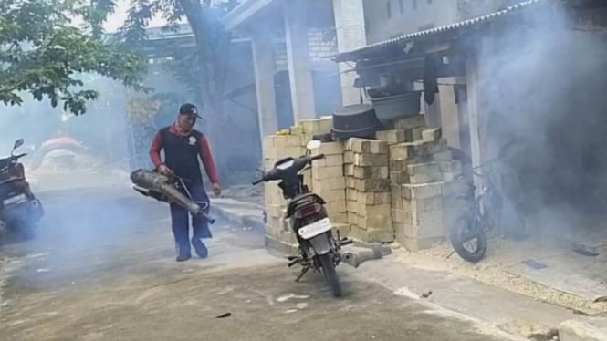 50 Warga Satu Desa di Lamongan Terserang Chikungunya