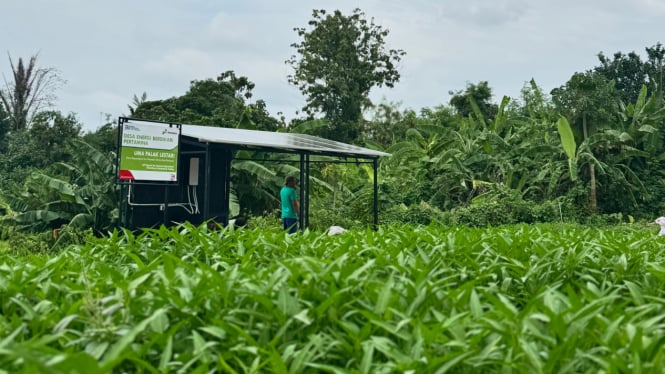 Dukung Swasembada Energi dan Pangan, Pertamina Bangun 159 Desa Energi Berdikari