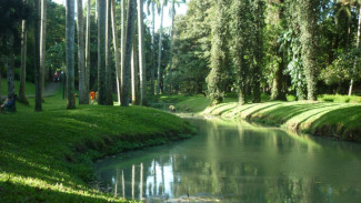 Taman Langsat Jadi Spot 'Mesum' Pilihan Anak Muda Jakarta, Dibuka 24 Jam!