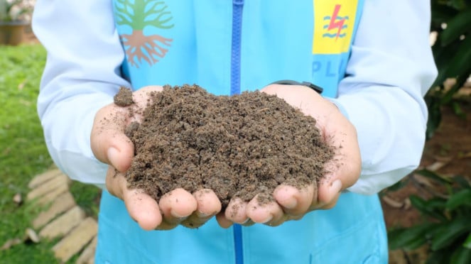 Uso del fertilizante de sílice en cenizas voladoras y una planta de energía de vapor inferior (FABA) (PLTU) que pertenece a la agricultura para la agricultura