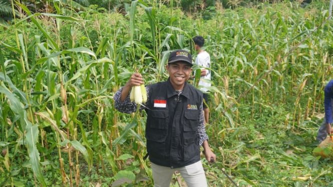 Mandiri Secara Ekonomi, Laznas BMH Bantu Ponpes Hasilkan Cuan dari Tanam Jagung