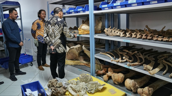 Fadli Zon Saat Mengunjungi Situs Manusia purba Sangiran (Homeland of Java Man)