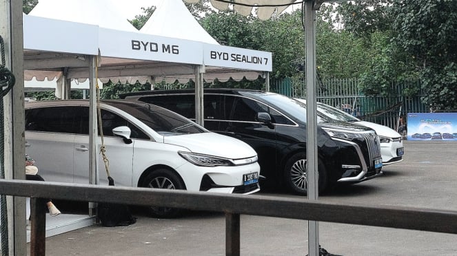 Geryst Byd Shielion 7 Area Trive IIMS 2025