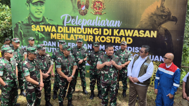 VIVA Militer: KSAD Jenderal TNI Maruli Simanjuntak