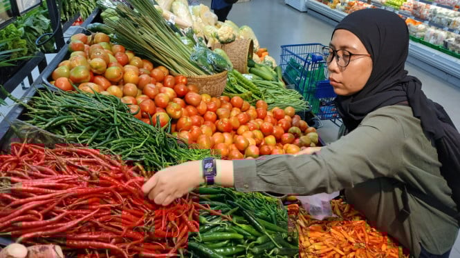 Harga Cabai Anjlok, Diikuti Beras, Bawang, Daging Sapi dan Minyak Goreng