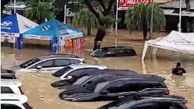 Los autos se inundaron en la ciudad de Becks de Galaxy.