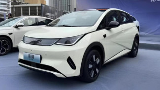 BYD Dolphin Terbaru Resmi Meluncur dan Punya Mata Dewa