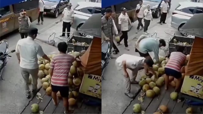 Viral Satpol PP Ambil Kelapa Muda Milik Pedagang Saat Penertiban