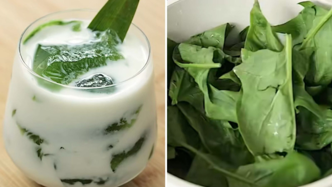 Resep Es Jeli Hijau dari Bayam Jepang