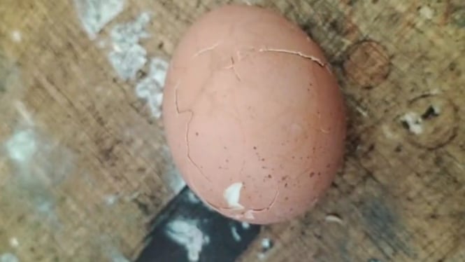 Telur MBG yang berulat di SDN 1 Gontoran Lombok (Satria)