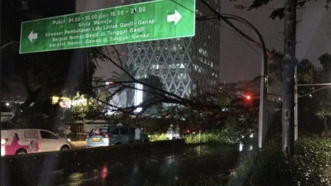 Pohon Tumbang Timpa Dua Mobil di Menteng, Satu Korban Masih Terjebak!