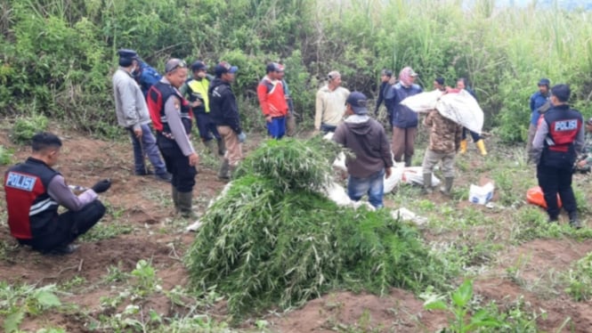 Balai Besar TNBTS Bantah Larangan Terbangkan Drone karena ada Ladang Ganja