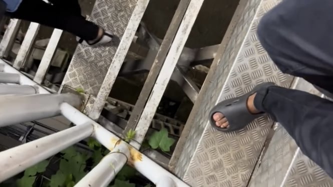 Pelat besi pada lantai dan anak tangga JPO di Kalideres Jakbar dilaporkan hilang, menyisakan lubang menganga yang rawan menyebabkan kecelakaan.