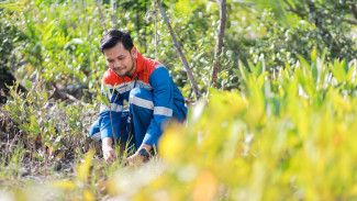 Peringati Hari Hutan Sedunia, Pertamina Perkuat Program Hutan Lestari untuk NZE 2060