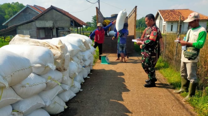 Militar Vía: Soldados de Purwakarta Kohim junto con Borong Gaba y Feres Rice juntos