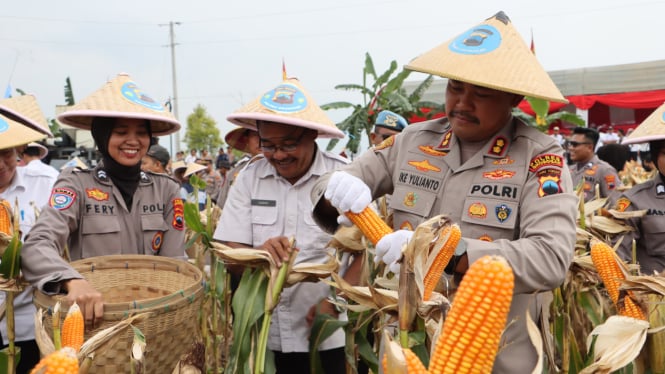 6800590faaaa2-polres-grobogan-gelar-panen-raya-jagung-tahap-2-2025-di-lahan-274-hektare_665_374 6800590faaaa2-polres-grobogan-gelar-panen-raya-jagung-tahap-2-2025-di-lahan-274-hektare_665_374