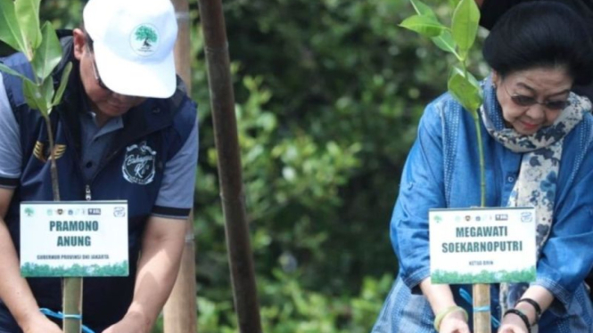 Gubernur Pramono Anung dan Megawati Soekarnoputri Tanam Mangrove di Jakut