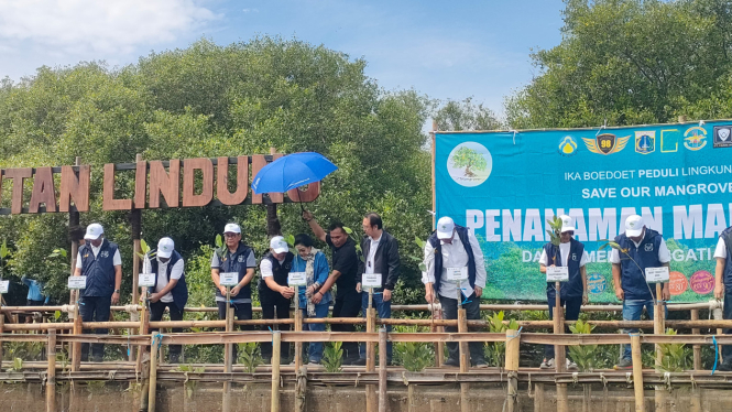 Momen Gubernur Jakarta Pramono Anung menanam p