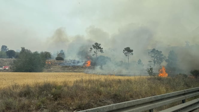 Kebakaran hutan di Israel