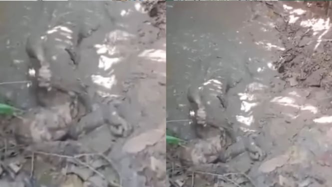 Anak di Nias Disebut Rendam Ibunya di Lumpur Demi Konten