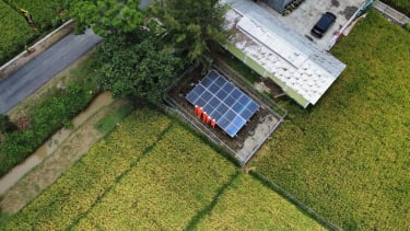 Program Desa Energi Berdikari Pertamina dorong Produksi Pangan Desa