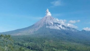 Gunung Semeru erupsi dengan letusan setinggi 700 meter.