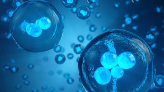 Ramai Dibahas karena Luna Maya, Segini Kisaran Biaya Egg Freezing di Indonesia