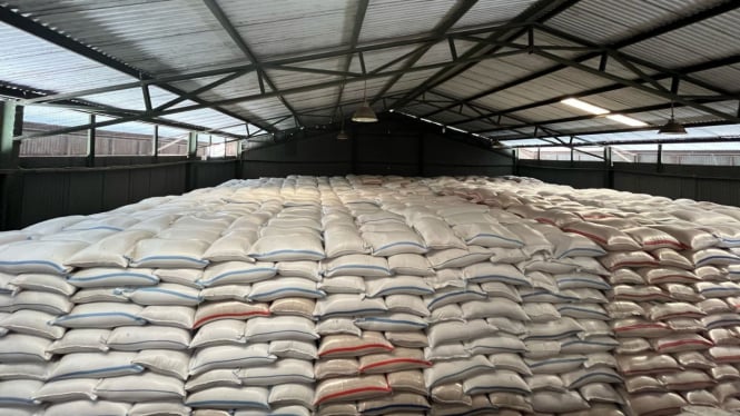 Stok Beras RI Hampir Tembus 4 Juta Ton, Mentan Amran: Bulog Jemput Bola ke Petani