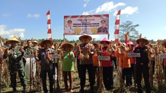 Dukung Asta Cita Ketahanan Pangan, Polres Halut Gelar Panen Raya Jagung 2 Ton