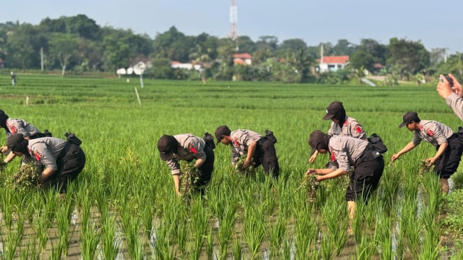 Estudiante Diktuk Bintara Polwan y Bacomsus Seguridad alimentaria y salud pública (Dock. Especial) Capacitación