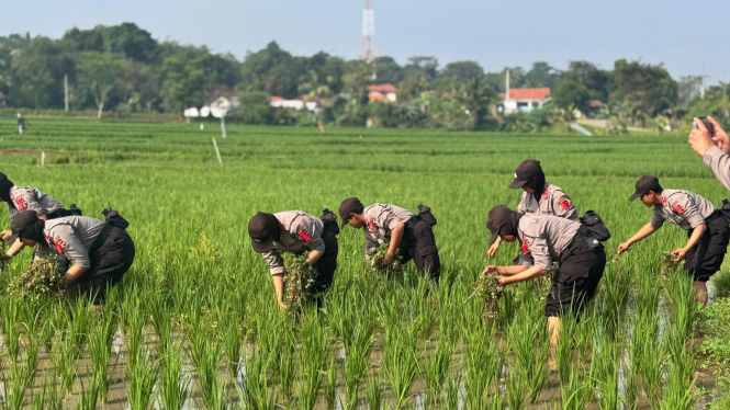 682892d5709c7-begini-inovasi-pelatihan-sepolwan-2025-pengabdian-desa-hingga-berbagai-fokus-aspek_665_374 682892d5709c7-begini-inovasi-pelatihan-sepolwan-2025-pengabdian-desa-hingga-berbagai-fokus-aspek_665_374