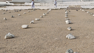 683093120efee-ziarah-ke-makam-kh-maimoen-zubair-di-pemakaman-ma-la-makkah-arab-saudi_375_211