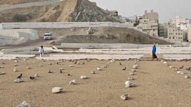 68309375d75d3-jemaah-ziarah-ke-makam-kh-maimoen-zubair-di-pemakaman-ma-la-makkah-arab-saudi_375_211