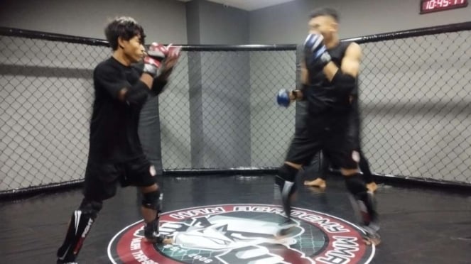 MMA 2025 Palatnas antes
