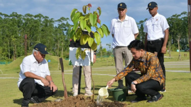 Momen Wapres RI Gibran Rakabuming Raka menanam pohon ulin di IKN