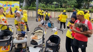 Rayakan Hari Peluk Kucing Sedunia, Saatnya Peluk Anabul Kesayangan!