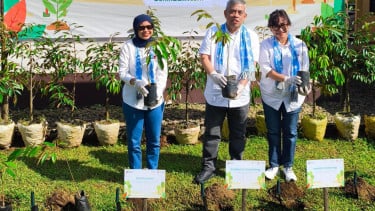 Ilustrasi Menanam Pohon