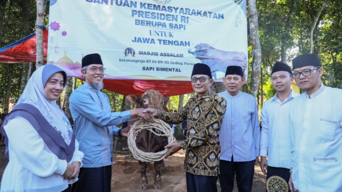 36 Sapi Kurban Presiden RI Dibeli dari Peternak Lokal di Jawa Tengah