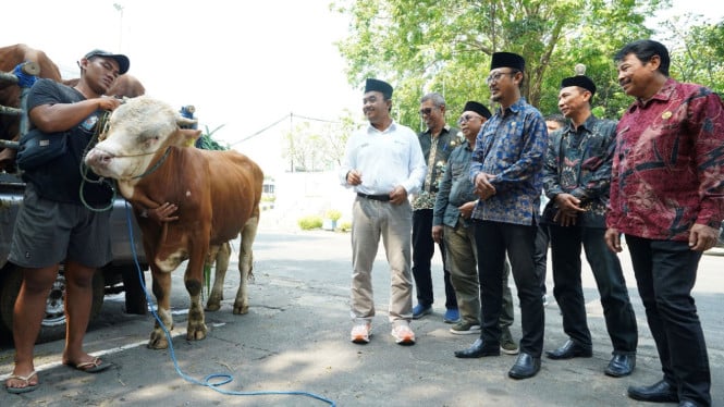 SIG salurkan ratusan hewan kuran di daerah operasional.