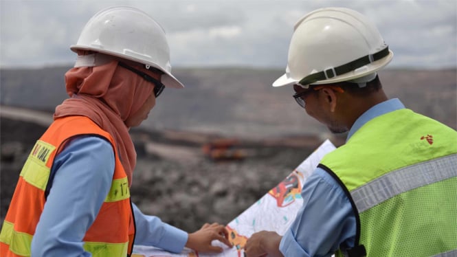Diversifikasi Bisnis Lewat Ekspansi Tambang Emas dan Tembaga, Bumi Resources Akuisisi Wolfarm Australia