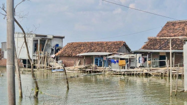 Banyak warga yang tinggal di pesisir pantai Utara Pulau Jawa
