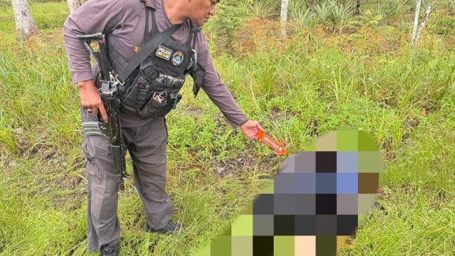 Pegawai Honorer Pemkab Yahukimo Ditemukan Tewas, Diduga Dibunuh Anggota KKB Elkius Kobak