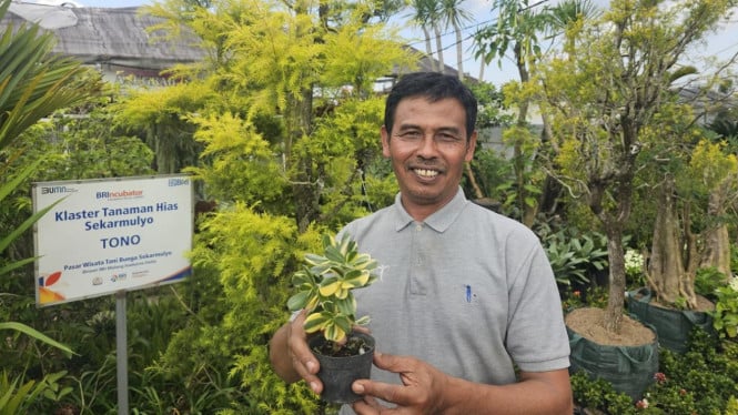 Sukses Jadi Mata Pencaharian Warga Sekitar, Ini Kisah Klaster Usaha Tanaman Hias Binaan BRI