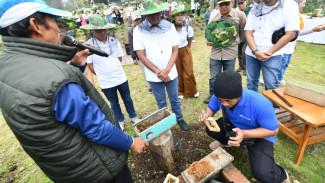 Desa Energi Berdikari di Bali, Masyarakat Kembangkan Produk Berbasis Hasil Hutan dan Ekowisata