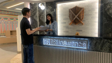 Bri Insurance