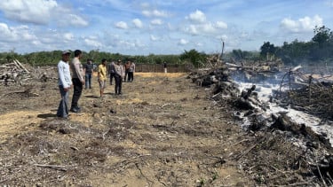 Pembakaran lahan di Kuantan Singingi